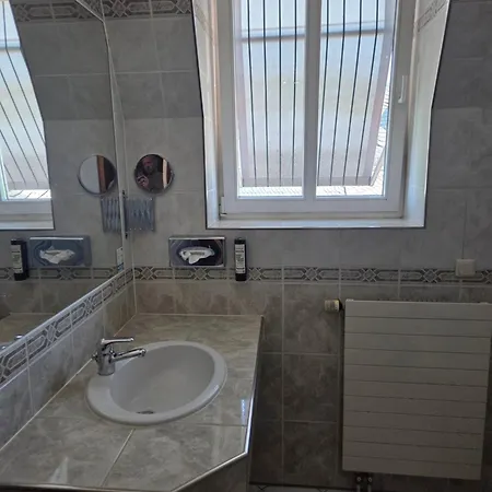 Porta Nigra Victus 酒店